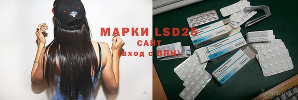 прущие грибы Алзамай