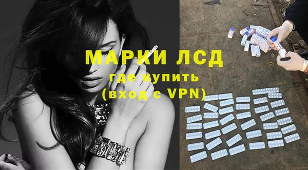 прущие грибы Алзамай