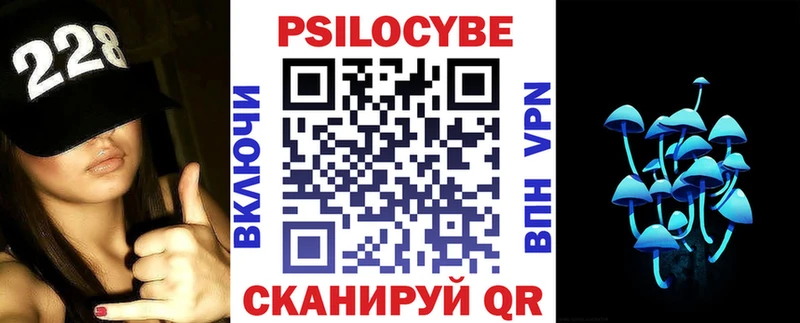 закладка  Пучеж  Галлюциногенные грибы Cubensis 