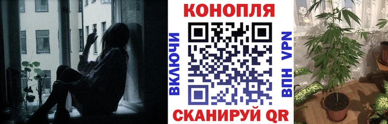 Бошки Шишки ГИДРОПОН  Пучеж 